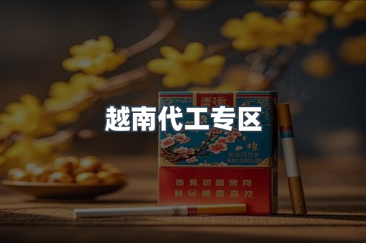 越南代工专区